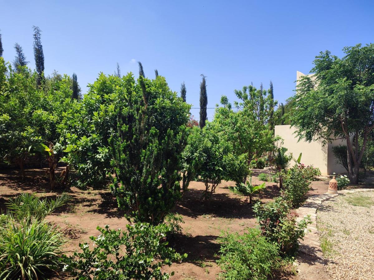 Riad Bini-Ddik Essaouira Esterno foto